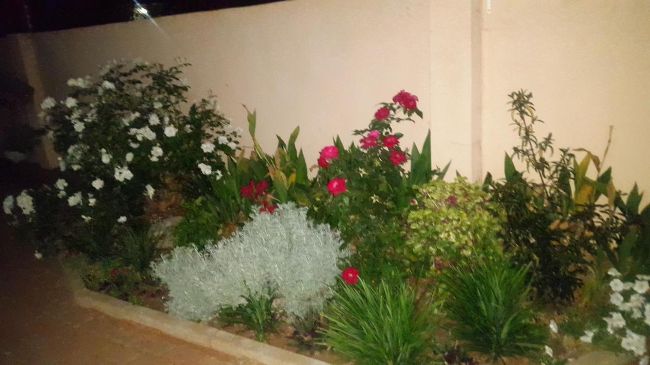 פרנסיסטאון Tintech Bed & Breakfast מראה חיצוני תמונה